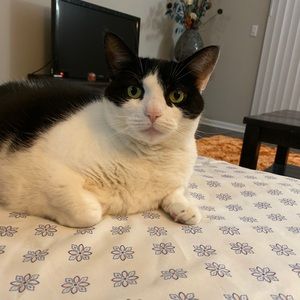 Meet your Posher, Maria